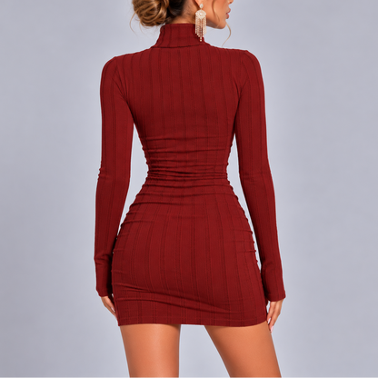 Women's Christmas Dress – Ribbed Knitted Turtleneck Mini dress